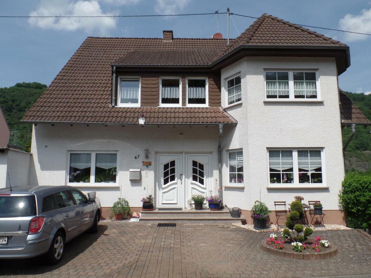 Ferienwohnung Erz Burgen  Ngoại thất bức ảnh